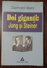 Doi giganti: Jung si Steiner - Gerhard Wehr foto