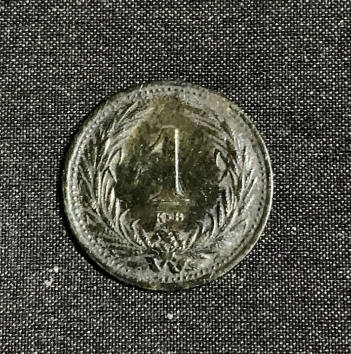 Moneda 1 kreuzer 1894 Ungaria