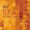 NIV, Outreach New Testament, Large Print, Paperback