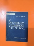 Spondiloza. Lumbago. Sciatica - Dr. O. Oprian
