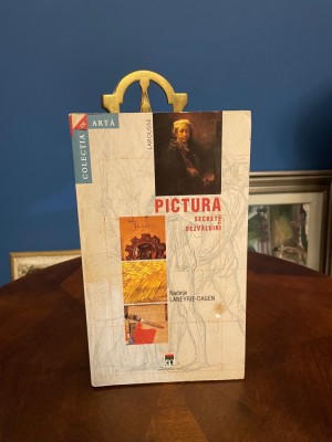 Nadeije Laneyrie-Dagen - PICTURA. Secrete și dezvaluiri (Ca noua!) foto