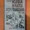 INCURSIUNI IN PLASTICA TRANSILVANA de NEGOITA LAPTOIU , 1981