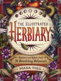 An Illustrated Herbiary: Insights and Rituals Inspired by 36 Bewitching Botanicals