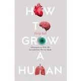 How to Grow a Human