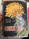 Floricultura - A. Militiu L. Stefan E. Sadofsky 1962 Agro-Silvica