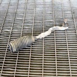 Bieleta de direcție st&acirc;nga MITSUBISHI L 200 / TRITON KJ_, KK_, KL_ 2017 11339825