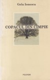 Gelu Ionescu - Copacul din campie