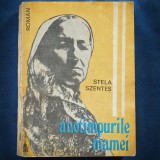 Anotimpurile Mamei - Stela Szentes - Roman - Beletristica