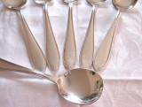 SET LINGURITE ARGINTATE PLACATE CU ARGINT LINGURITE TORT INGHETATA 13.5 CM