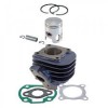 Set motor Yamaha/Minarelli LC D.47,6 bolt 10 Evolution 2 Cod Produs: MX_NEW 166010710PO