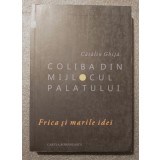 Cătălin Ghiță - Coliba din mijlocul palatului: frica și marile idei