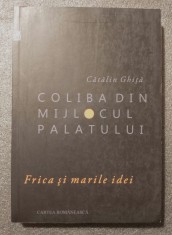 Cătălin Ghiță - Coliba din mijlocul palatului: frica și marile idei foto