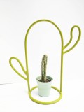 Vaza cactus | Conturat
