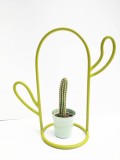 Vaza cactus | Conturat