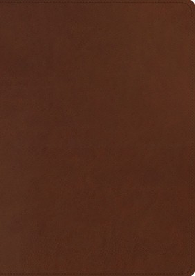 ESV Chronological Bible (Trutone, Brown) foto