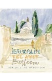 Ierusalim. Tel Aviv. Betleem. Schite in acuarela - Aurelia Stoie Marginean