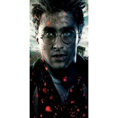 Husa Personalizata ASUS ZenFone 4 Selfie Pro ZD552KL Harry