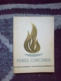 K0a Penes Curcanul (Sergentul Constantin Turcanu) - Gavrila Sacadat