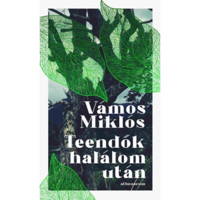 Teendők hal&amp;aacute;lom ut&amp;aacute;n - V&amp;aacute;mos Mikl&amp;oacute;s foto