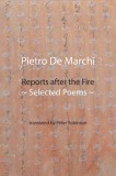 Reports after the Fire: Selected Poems
