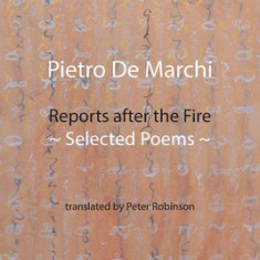 Reports after the Fire: Selected Poems