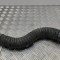 Furtun intercooler BMW 3 G20, G28 2020 OEM: 8572858 | 22321916