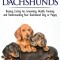 Dachshunds - The Owner&#039;s Guide from Puppy to Old Age - Choosing, Caring For, Grooming, Health, Training and Understanding Your Standard or Miniature D