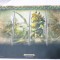 Playmat mousepad 605x355 mm Warhammer Age of Sigmar Champions Play Fusion Games Workshop #2
