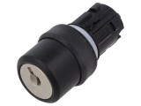 Comutator rotativ cu cheie 22mm 2 poziții fără proeminent