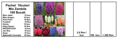 BULBI DE ZAMBILE Mix 100 Bucati 10 culori foto