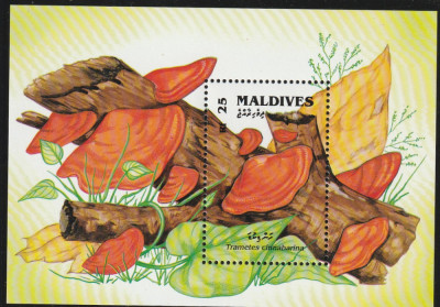 Maldives 1992-Flora,Fauna,colita dantelata,MNH,Mi.BL.231 foto