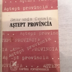 Astept provincia - Smaranda Cosmin