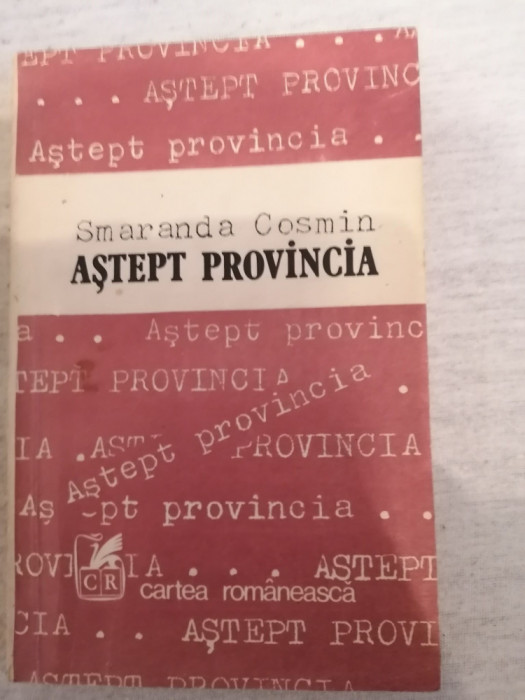 Astept provincia - Smaranda Cosmin