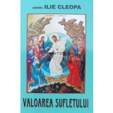 Valoarea sufletului - 2008 - Ilie Cleopa (A84)