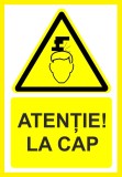 Placuta atentie la cap