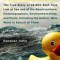 Moby-Duck: The True Story of 28,800 Bath Toys Lost at Sea and of the Beachcombers, Oceanographers, Environmentalists, and Fools,
