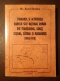 Dr. Aurel Galea - Formarea și activitatea Marelui Sfat Național Rom&acirc;n din Transilvania, Banat, Crișana, Sătmar și Maramureș (1918-1919)