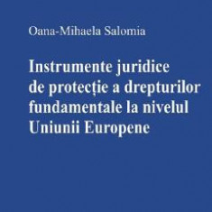 Instrumente juridice de protectie a drepturilor fundamentale la nivelul Uniunii Europene - Oana-Mihaela Salomia