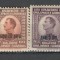 Iugoslavia.1924 Printul Alexandru-supr. SI.102