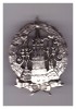 Insigna de regiment Rusia tarista 1811-1911, REPLICA, Europa
