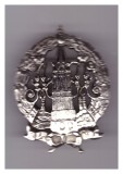 Insigna de regiment Rusia tarista 1811-1911, REPLICA, Europa