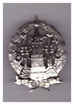 Insigna de regiment Rusia tarista 1811-1911, REPLICA foto