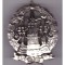 Insigna de regiment Rusia tarista 1811-1911, REPLICA