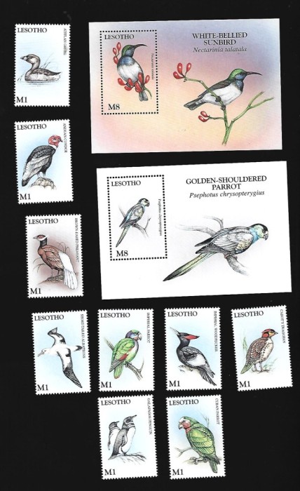 lesotho pasari mnh