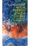 Ruga pentru pacea lumii, Didactica Publishing House