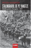 Stalingradul De Pe Yangtze. Batalia Pentru Shanghai - 1937 - Peter Harmsen