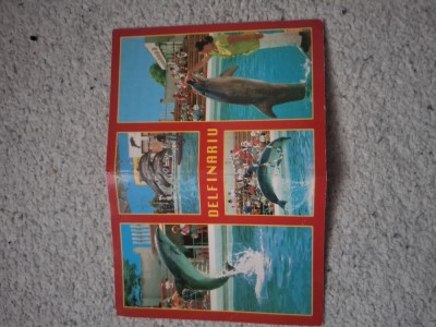 Carte postala delfinariu foto