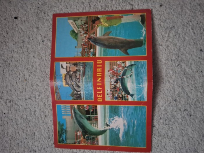 Carte postala delfinariu