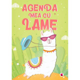 Agenda Lama Editura Kreativ, 96 pagini, 12 x 17 cm, Multicolor