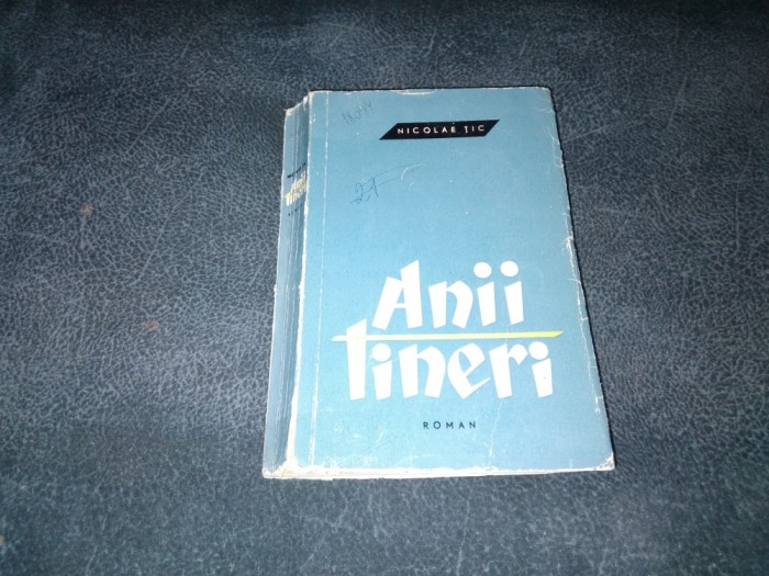 NICOLAE TIC - ANII TINERI
